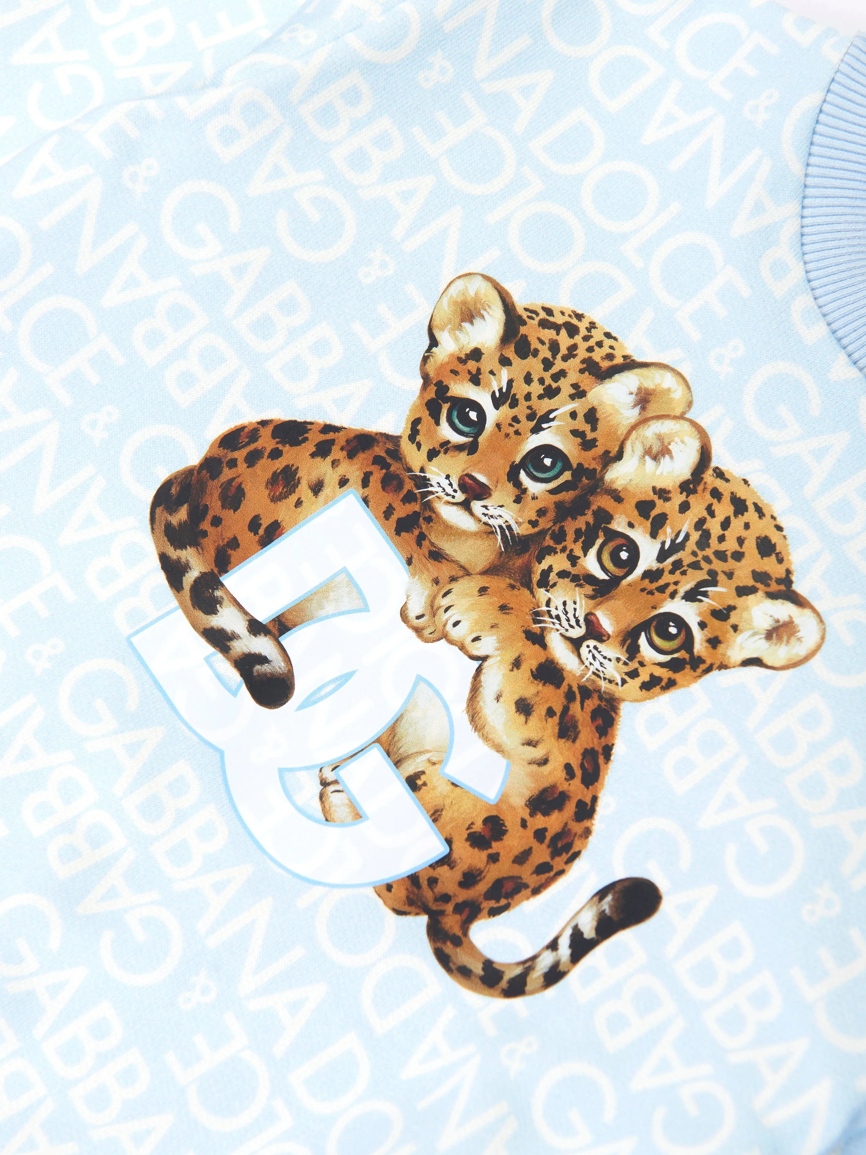 Dolce & Gabbana Baby Boys Leopard Sweatshirt in Blue