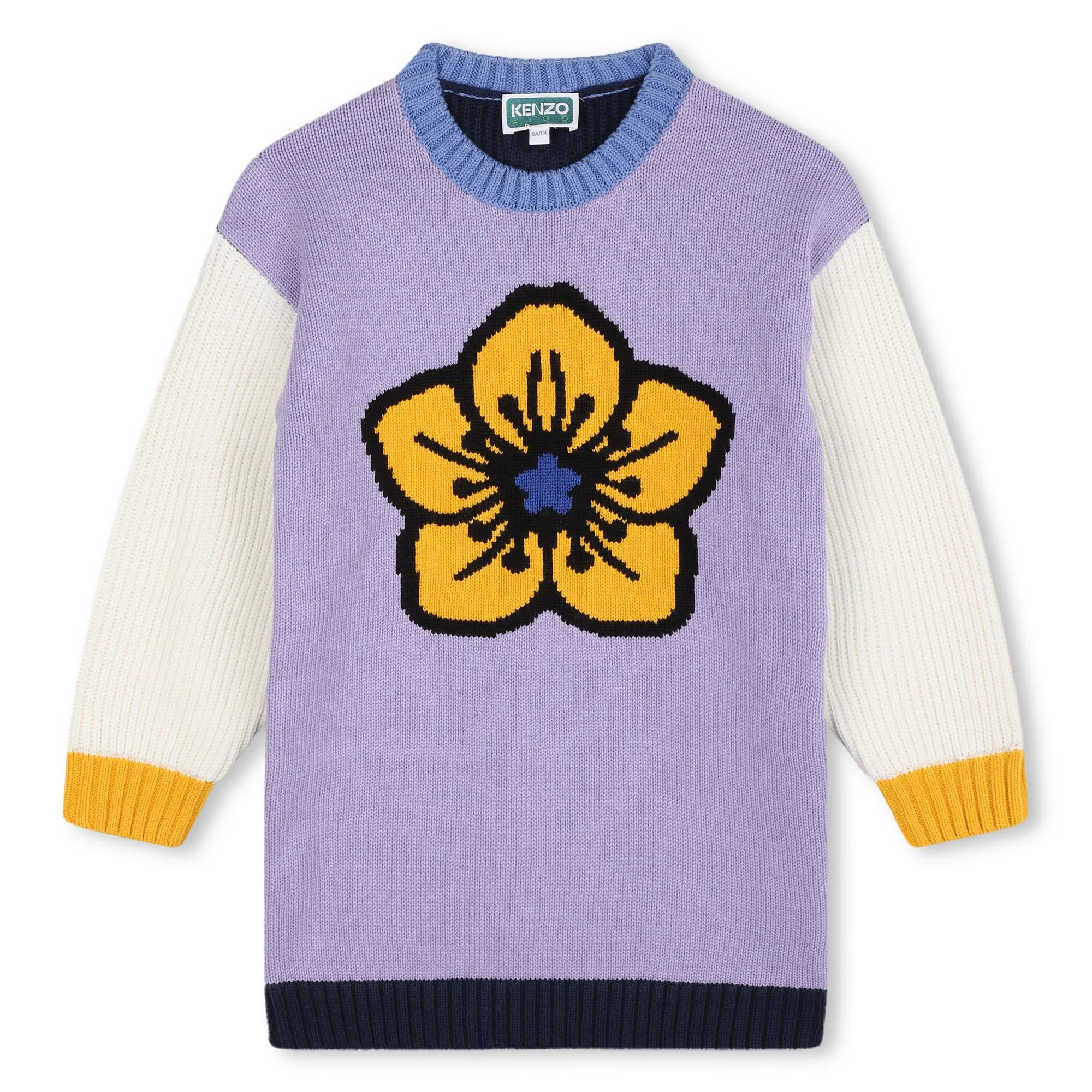 Flower Pop Colorblock Sweater Dress