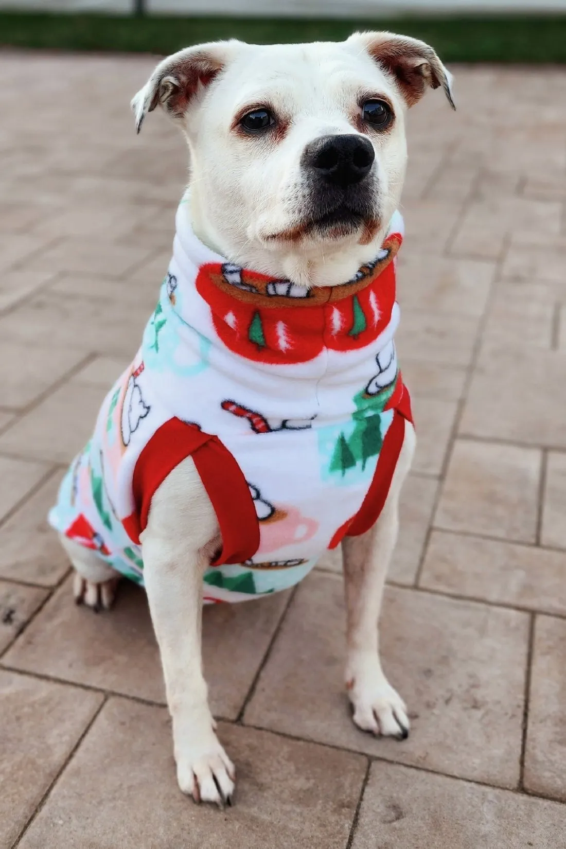 Santa Cocoa Mugs Dog Sweater